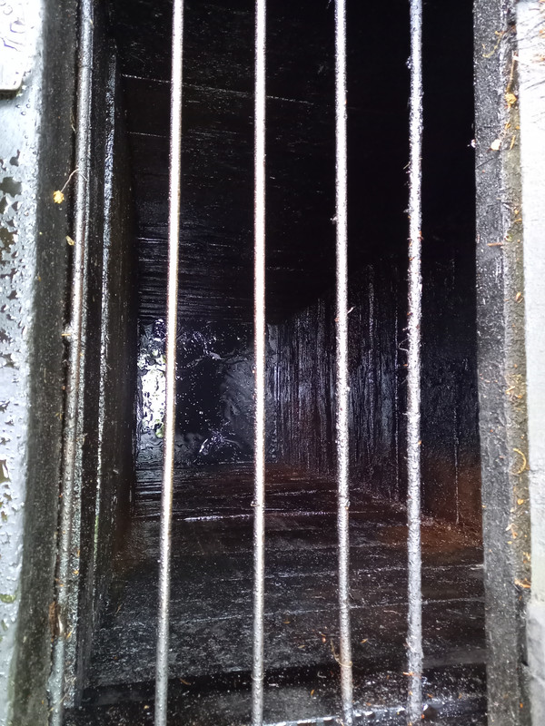 04.07b - 20220617_111340 (TomaszL)