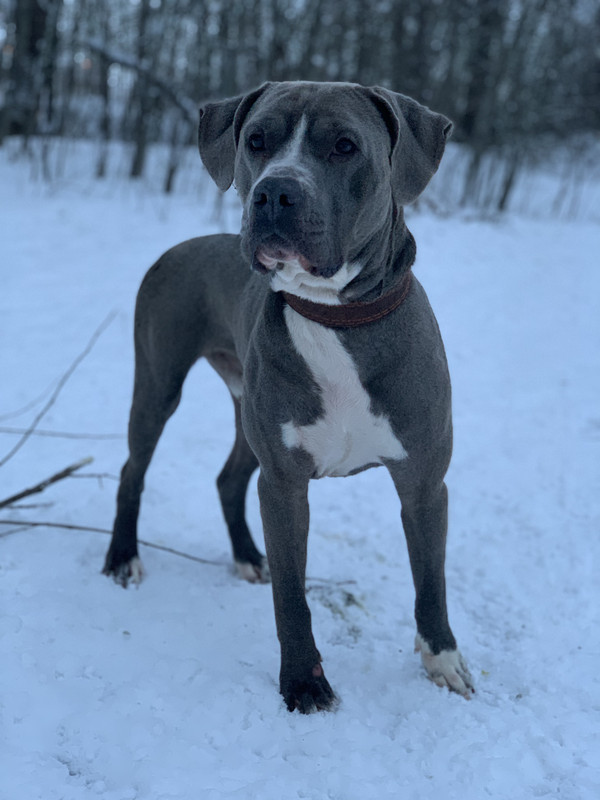 A7DF2622-13B5-4E27-9AB1-2C5F6CA8364B