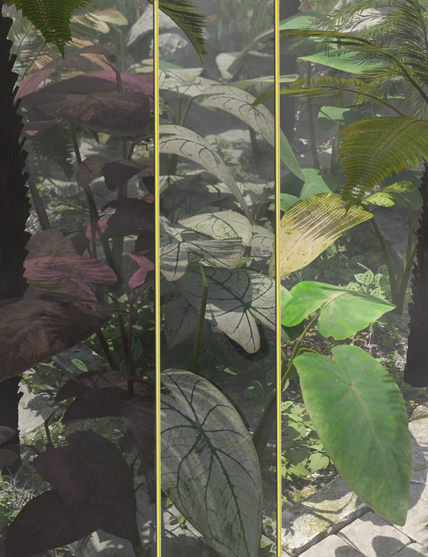 tropical foliage plants colcassia 00 main daz3d