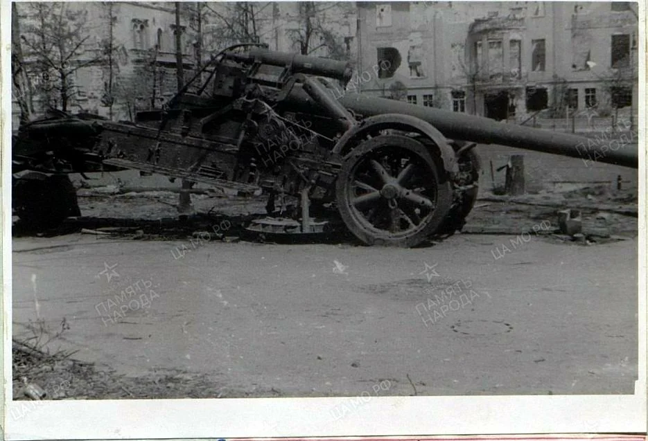 scale_2400 (3)