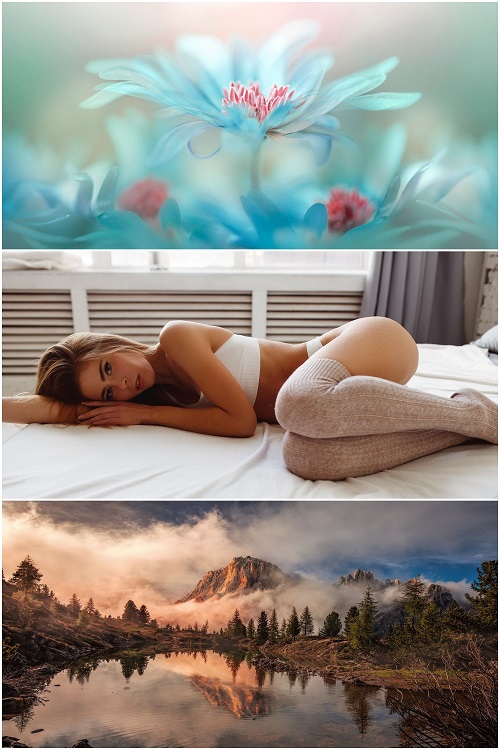 Wallpapers Mix №1153