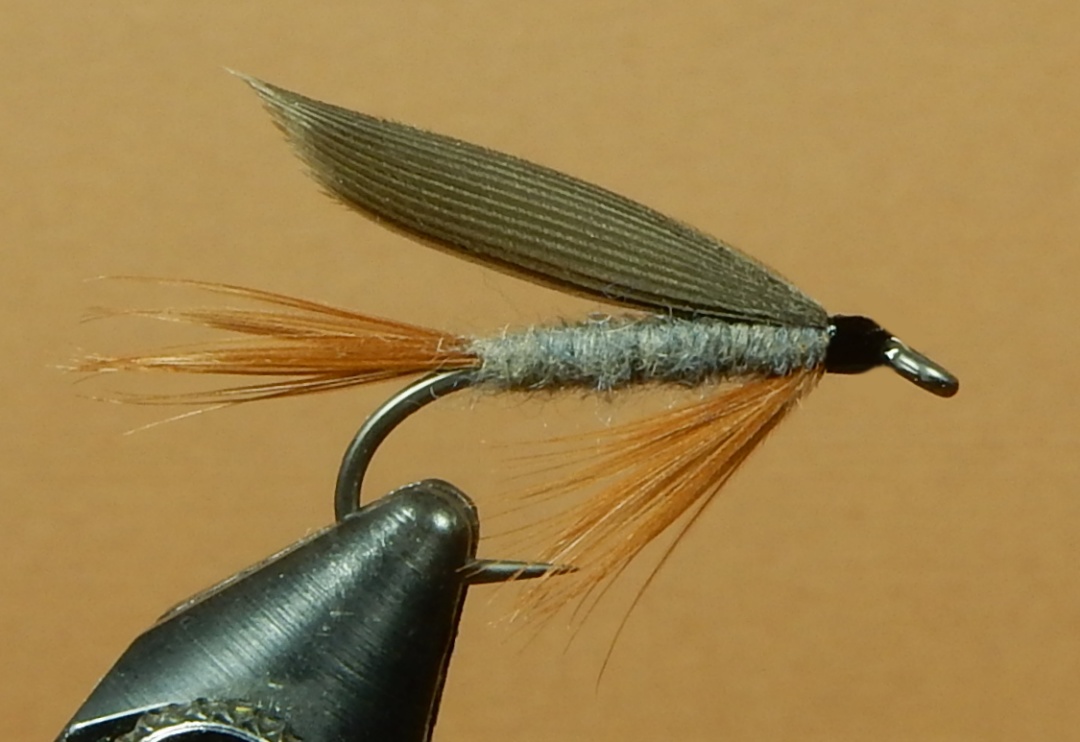 Bradley-s-Special-Hellekson-1080.jpg