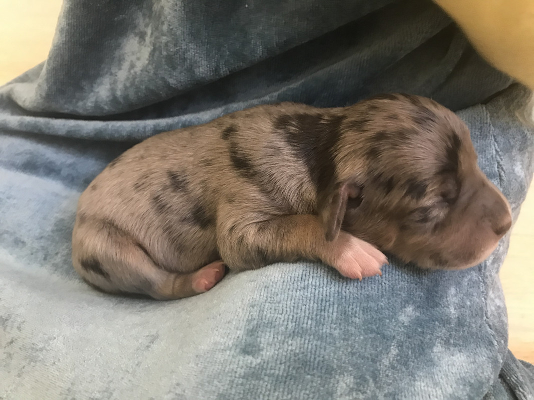 639A93F4-1C8C-4492-8FFF-CC90E6FA4297