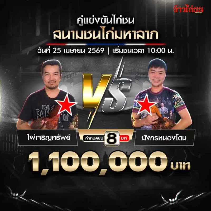 ไผ่เจริญทรัพย์ พบ มังกรหนองโดน โปรแกรมไก่ชน สนามชนไก่มหาลาภ วันที่ 25 เมษายน 2569