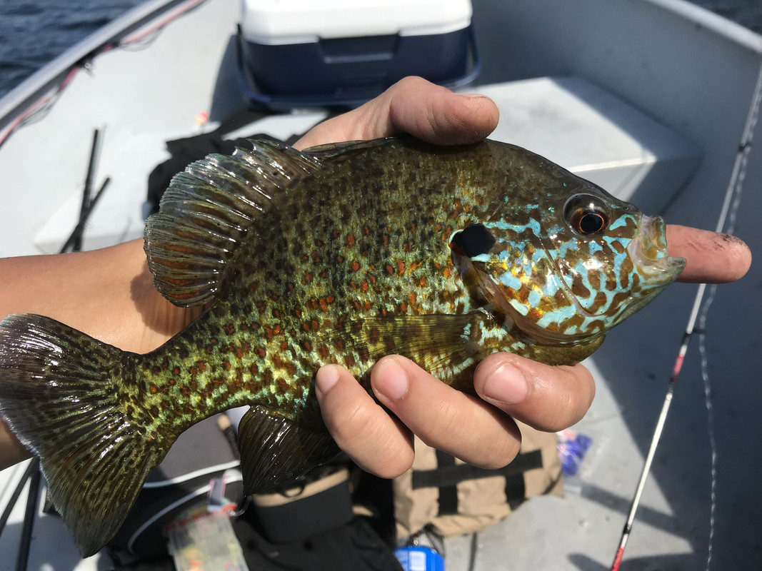 25D8A24D-9F6A-4E30-BE6D-B862DC9DA300