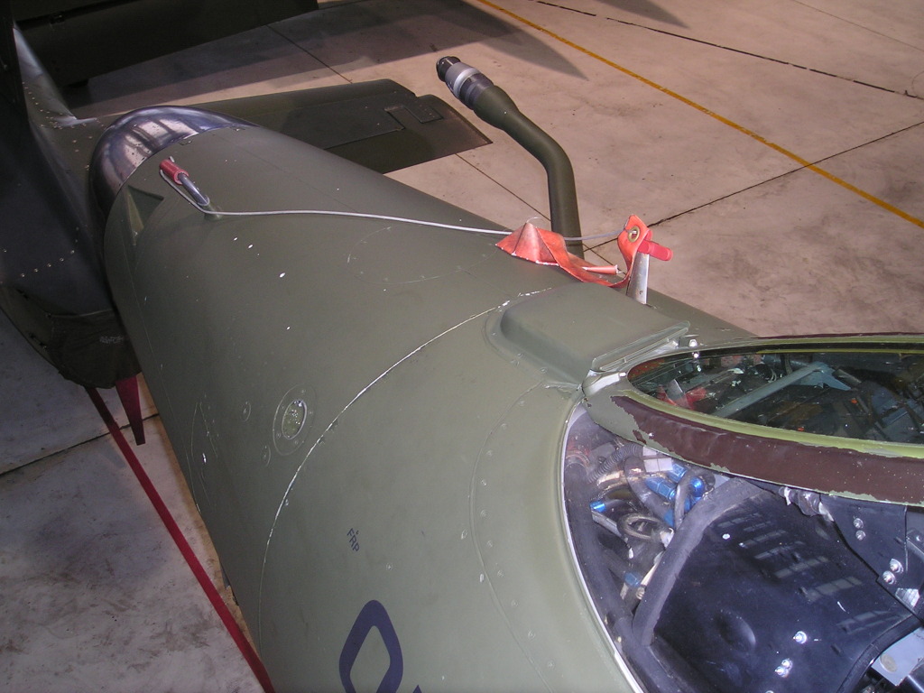 Anthony-Galbrath-(6)