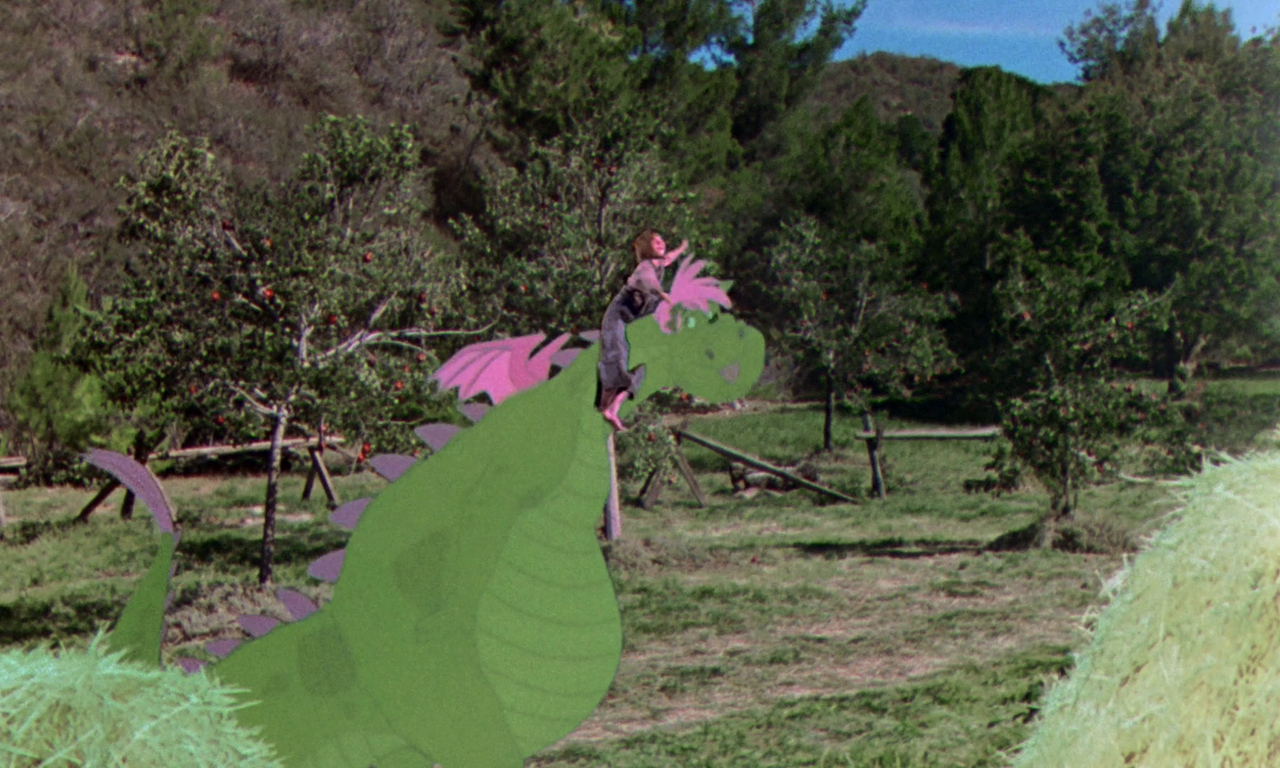 vlcsnap-2024-01-22-15h16m49s254