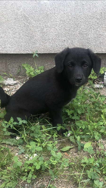 ECCD1A9E-1C0E-4F64-8EF9-70CBA8BD7156