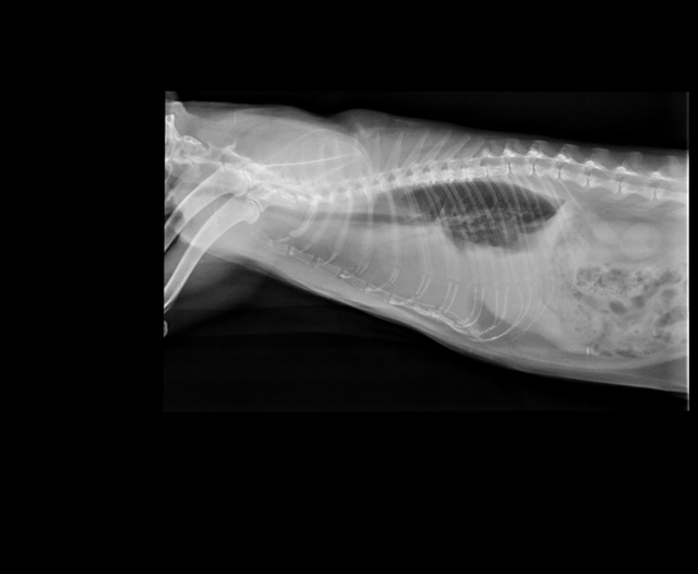 CFFBDADF-2AAC-4550-85E5-8A977C98F62A