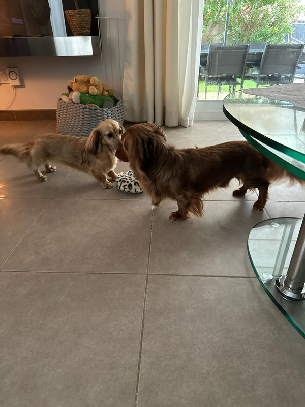 [Image: IMG-20240610-075418.jpg]