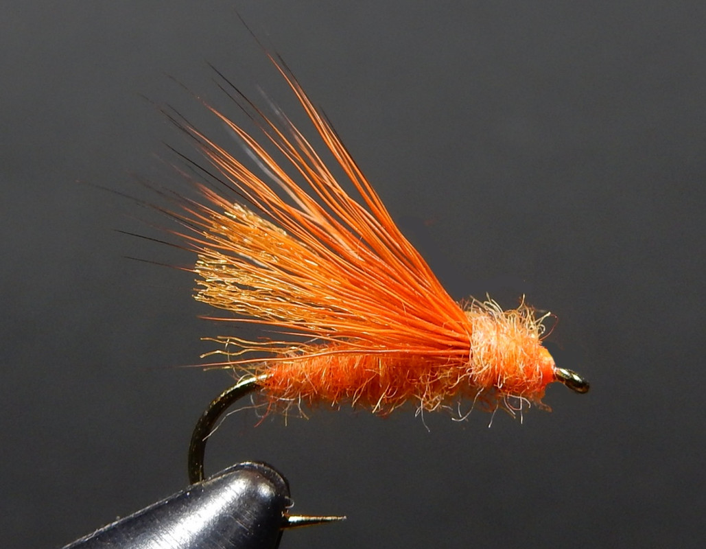 Matt-s-October-Caddis-1080.jpg