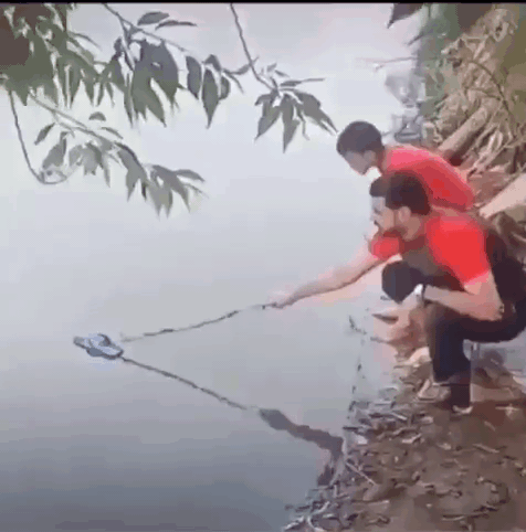 help-2.gif