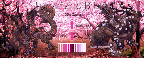 Blossom-Pair.png