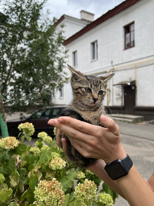 8655EFAE-1640-47FF-AFF0-1DE371875A5C