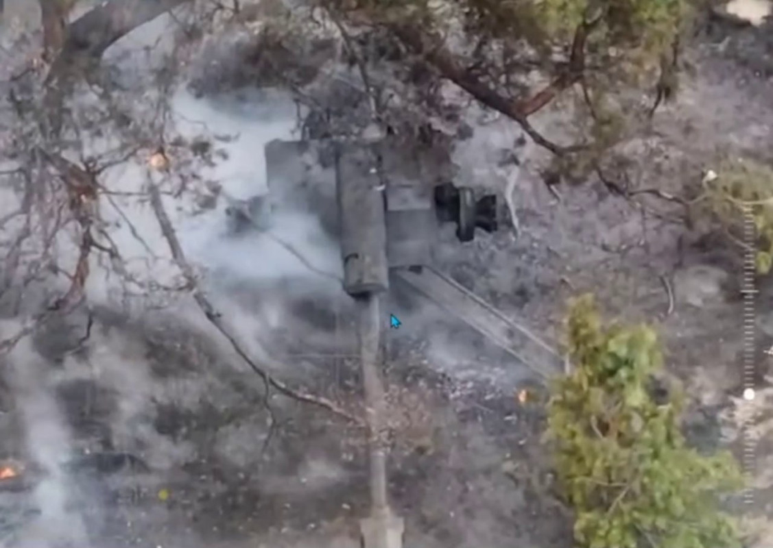 IMG_20240703_141006_975