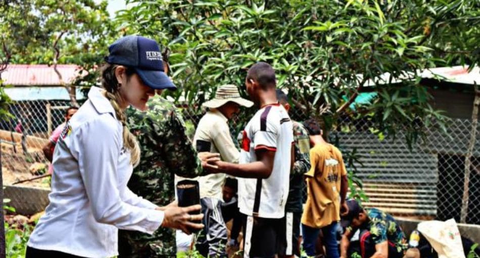 La paz gracias a la Moringa: a través del programa para el desarrollo comunitario Fe en Colombia, el Ejército seguirá estableciendo alianzas con entidades que permitan el acercamiento con comunidades vulnerables.
