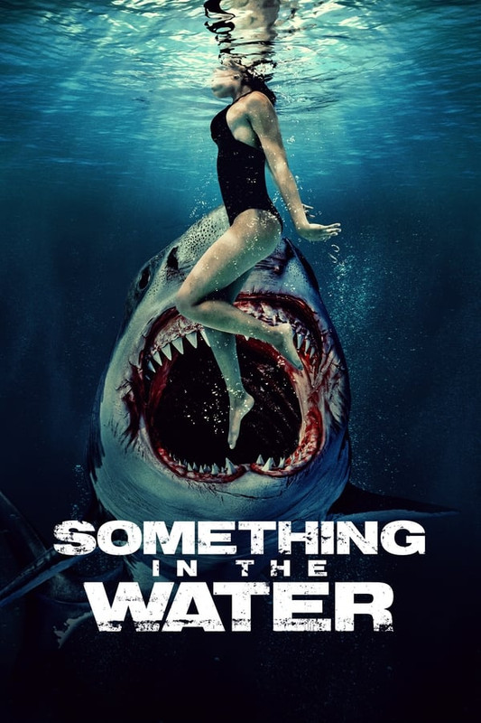 Something.In.The.Water.2024.1080p.AMZN.WEB-DL.DDP5.1.H.264-BYNDR