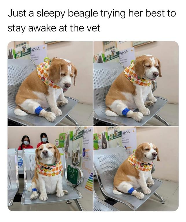 575688669-18029206553743552-3560452046040933807-n