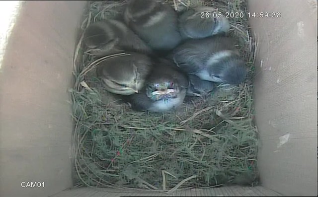 3A3607A5-654E-48E7-BDAF-CB726DA59C3B