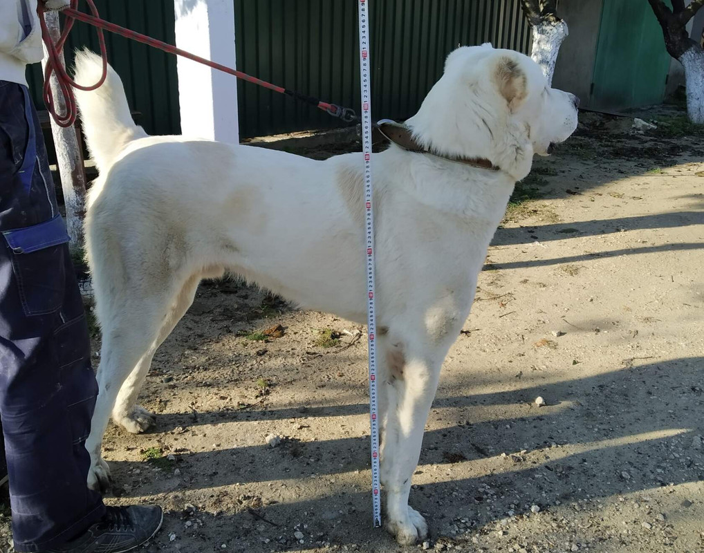 1 - копия - копия