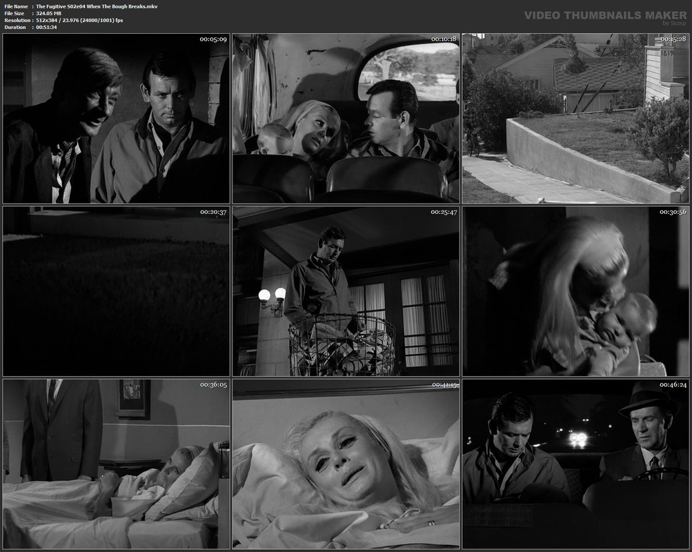 The Fugitive S02e04 When The Bough Breaks.mkv