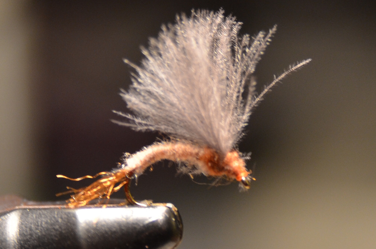 94C9FCE5-AE10-407B-AF33-671BEE9D85CA