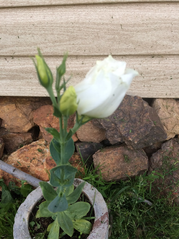 0D267E47-76C7-448E-9221-55994052728C