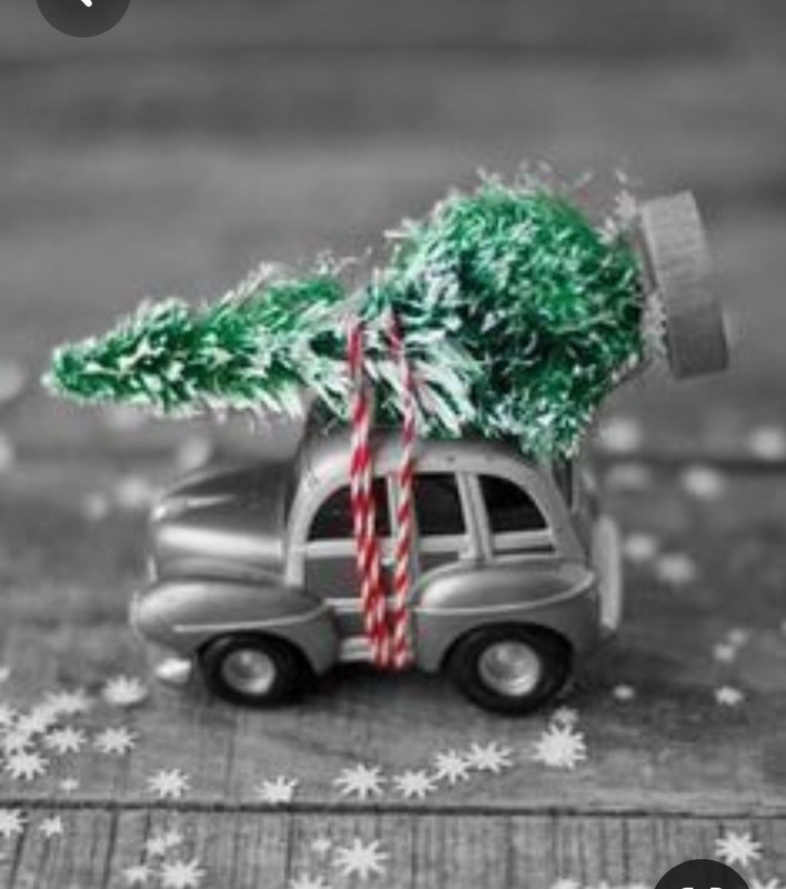 Screenshot_20230427_000141_Pinterest