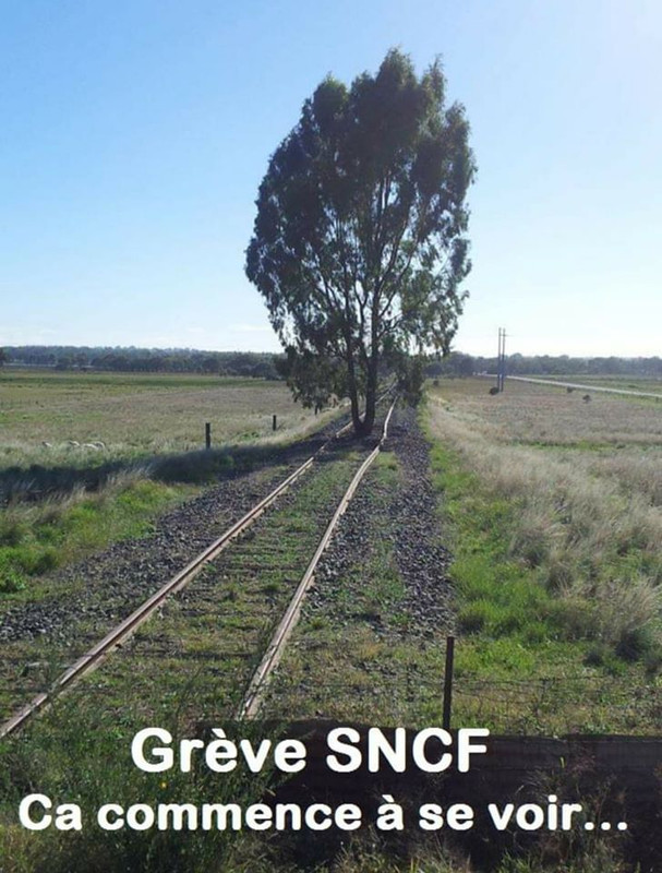 81153570_2608398816073860_1101550547535659008_o