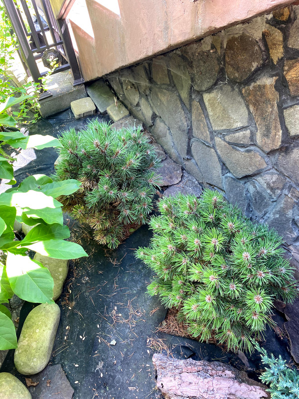 E091D050-7073-4BD7-8F5D-C4B9E87B1C6D