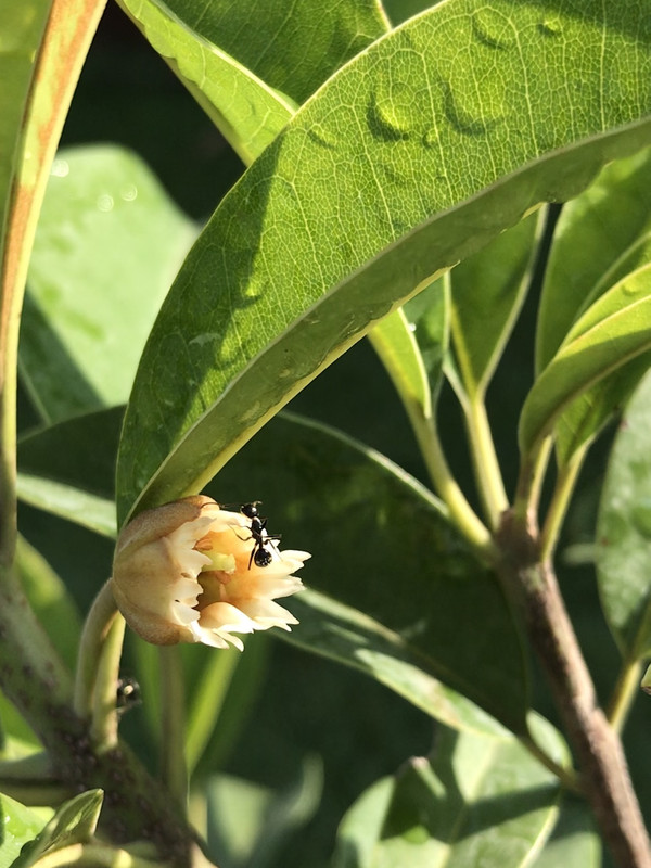 CE54D8DD-5F83-4ECC-865E-011A77AC0561