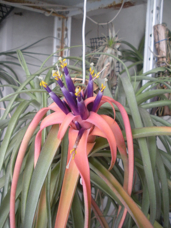 4AmP0XO5KJCC9whmaSKUqbbfL280d4jvTZPihaYoF6v_gig7SGd3c9_Awhl6nT3TEz6tswPAgHry4dHbAQWcN68K