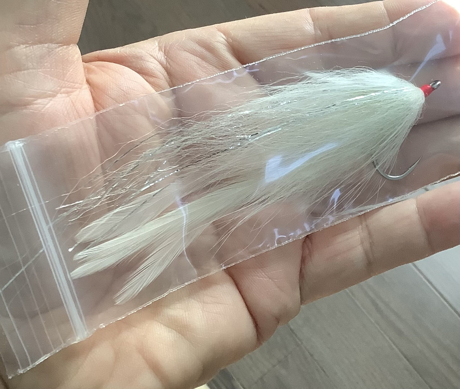 B9CC423D-A33C-48B7-BFFA-1F1D10C7C8CA