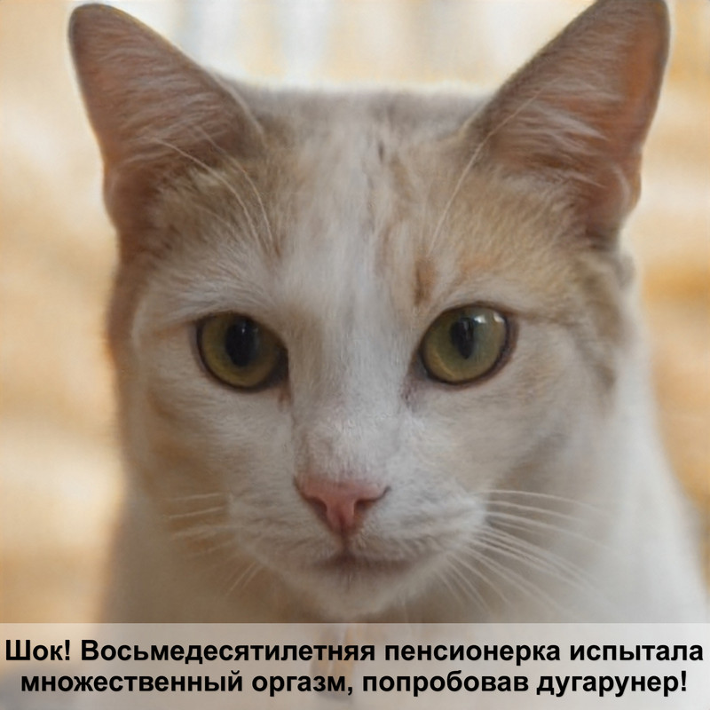 британские кошки выпадают зубы