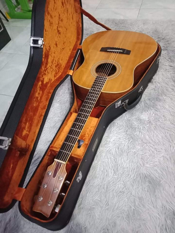 received_1017870898985601