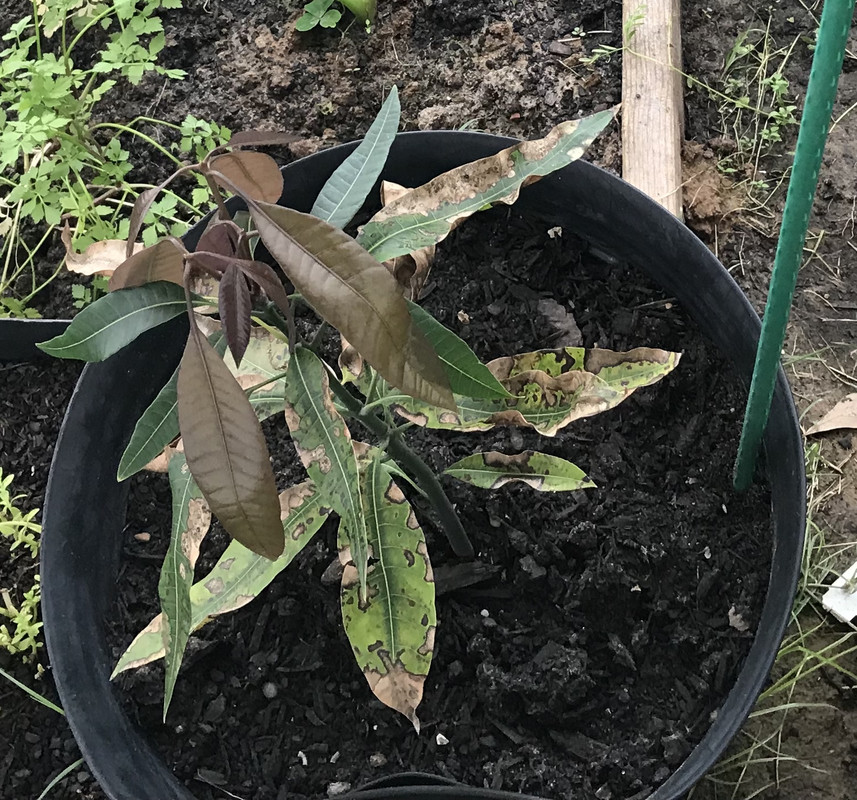 104D24EB-5093-4C4A-9133-4875478DEA8C