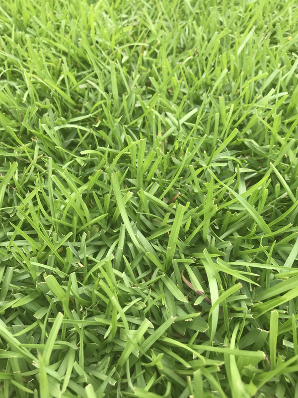 1700CE12-1BC8-4AD2-A955-D59E6B6DD4C5