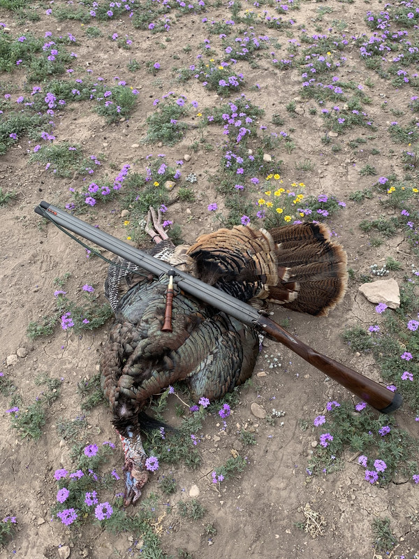 188658FC-9F9C-4BB7-BD89-BB9CBEF0A528