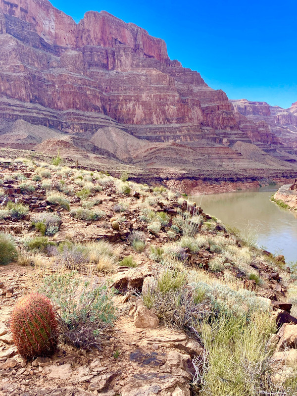 490B1AFC-33AF-4E07-B271-4FAF129AC54A