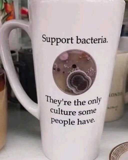 https://i.postimg.cc/ZnkwDPqN/321753455-1355019978645008-8725461045962000284-n.jpg