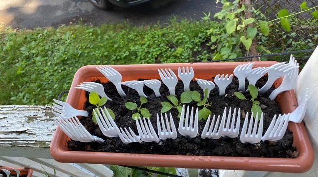 [Image: 8908957-B-2406-454-B-B878-5-CADEA83-DA63.jpg]