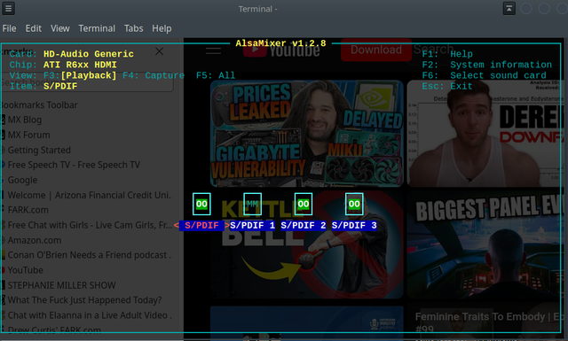 Alsamixer-Screenshot_2025-07-28_17-24-58