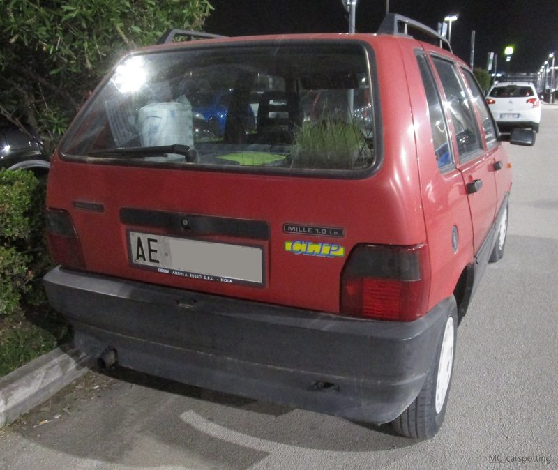 IMG-6740.jpg