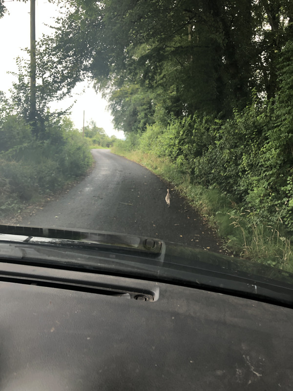 1918B422-DD96-43EF-852C-70947FE1A5B4