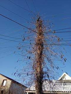 IMG-98e9b0884f79318274ec618ce12cbade-V.j