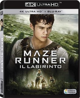 Maze Runner - Il labirinto (2014) .mkv UHD VU 2160p HEVC HDR DTS-HD MA 7.1 ENG DTS 5.1 ITA ENG AC3 5.1 ITA