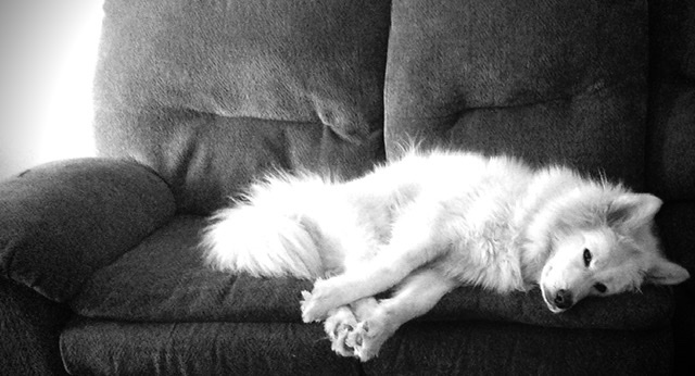 D73FD6B8-4C77-49C8-B395-D48383D8182C