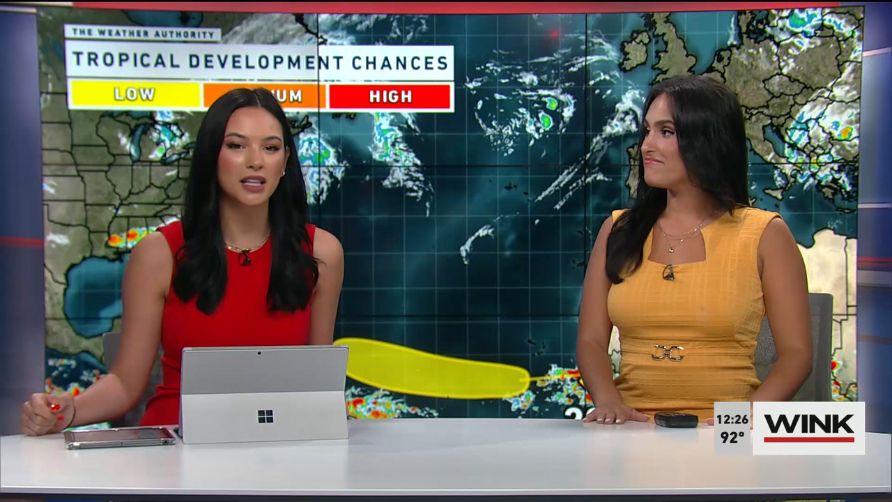 06.15 - 17.00.00 - The WINK Noon News. Midday news update..ts_snapshot_33.00.234