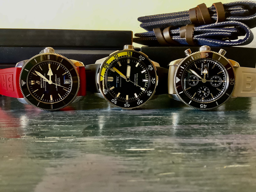 C259ACAB-2CC6-4D3F-B0DC-16E1737E865A