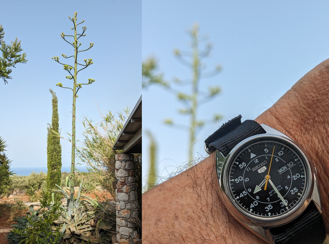 2024-06-10_SNK809MOD